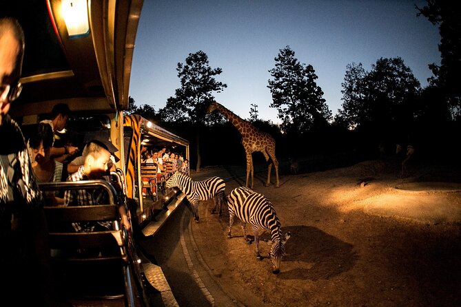 Chiang Mai Night Safari Ticket - Inclusions and Logistics