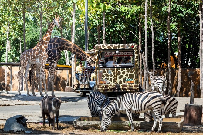 Chiang Mai Night Safari Ticket - Transportation Options
