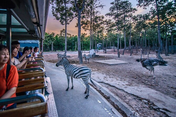Chiang Mai Night Safari Ticket - Visitor Reviews and Feedback