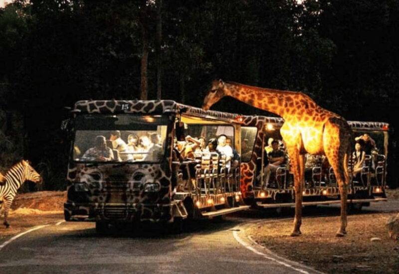 Chiang Mai: Night Safari Ticket With Transfer - Key Points