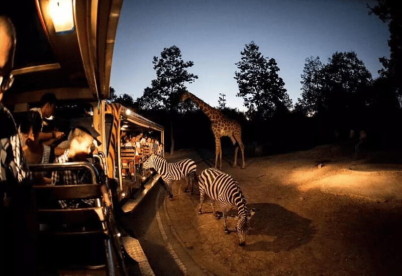 Chiang Mai: Night Safari Ticket With Transfer - Experience Overview