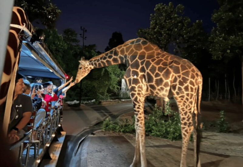 Chiang Mai: Night Safari Ticket With Transfer - Highlights and Activities