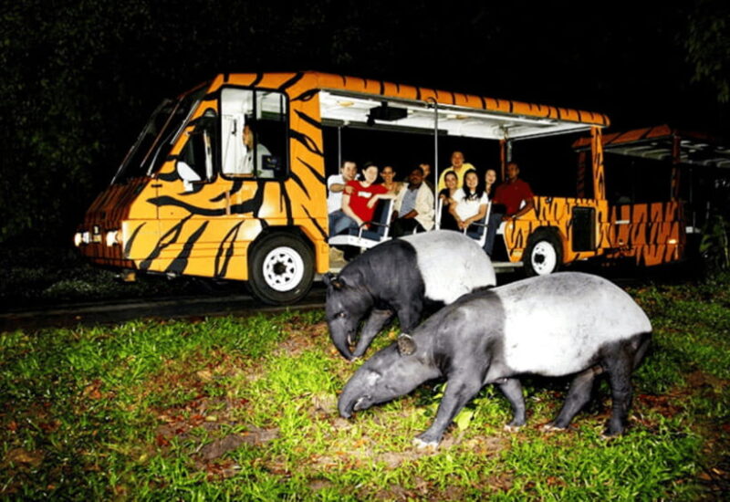 Chiang Mai: Night Safari Ticket With Transfer - What to Expect on the Tram Tour