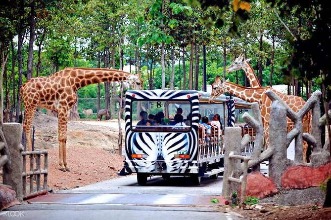 Chiang Mai Night Safari Tour Including Transfer (Minimum 2 Pax) - Inclusions