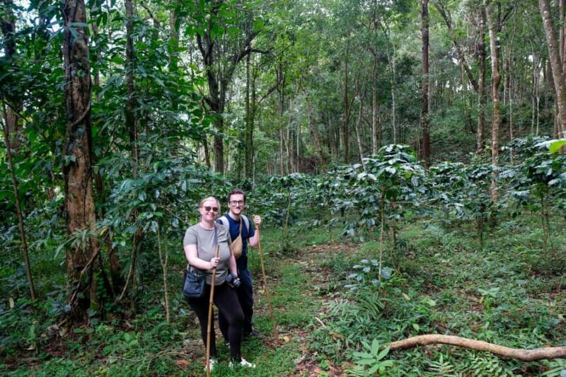 Chiang Mai: Off the Map Jungle Coffee Farm Trek Roast & Brew - The Value Proposition