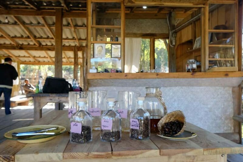 Chiang Mai: Off the Map Jungle Coffee Farm Trek Roast & Brew - Practical Considerations