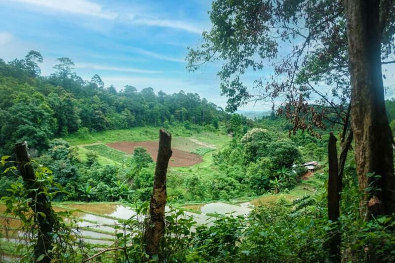 Chiang Mai: Off the Map Jungle Coffee Farm Trek Roast & Brew - Who Will Love This Tour?