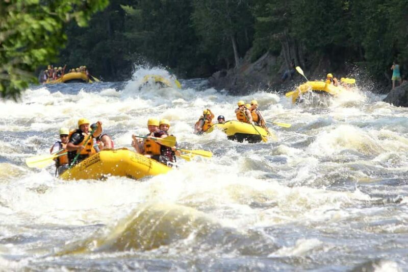 Chiang Mai: One Day ATV Tour & WhiteWater Rafting with Lunch - A Closer Look at the Itinerary