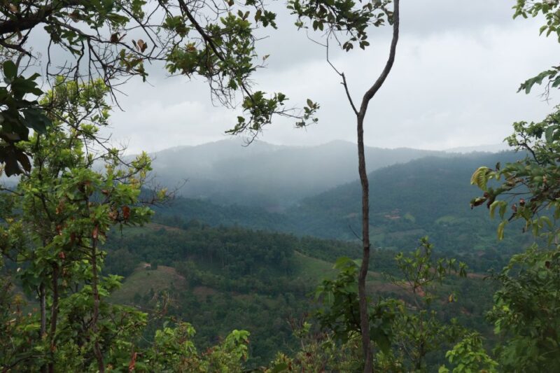 Chiang Mai: One Day Trek to Beautiful Local Village - Itinerary and Activities