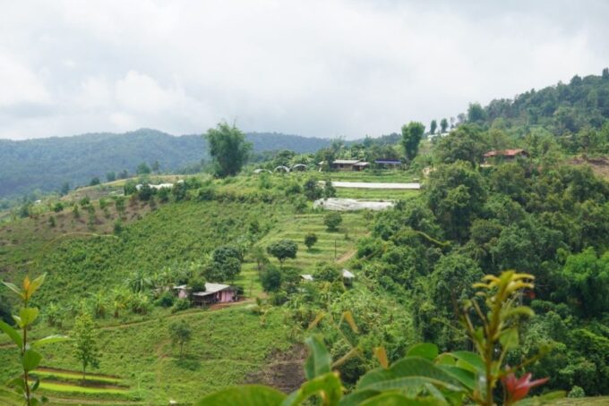 Chiang Mai: One Day Trek to Beautiful Local Village - Important Considerations