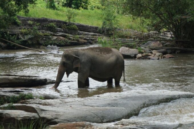 Chiang Mai: One Day Trek to Beautiful Local Village - What to Bring and Restrictions