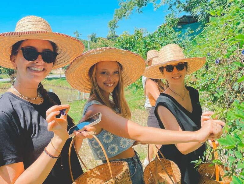 Chiang Mai Organic Thai Cooking Experience - Key Points