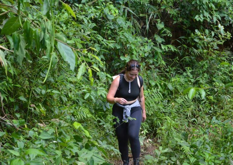 Chiang Mai: Overnight Doi Inthanon & Hands-Off Elephant Tour - Key Points