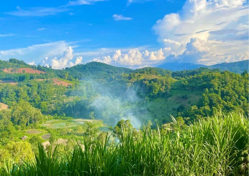 Chiang Mai: Overnight Doi Inthanon & Hands-Off Elephant Tour - Is This Tour Right for You?