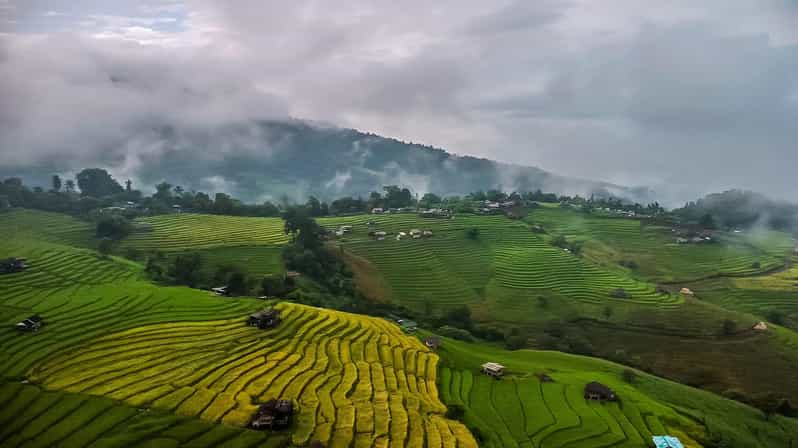 Chiang Mai: Pa Bong Piang Rice Terraces & Doi Inthanon - Key Points