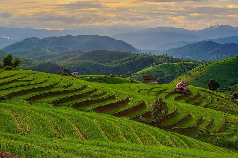 Chiang Mai: Pa Bong Piang Rice Terraces & Doi Inthanon - Highlights of the Tour
