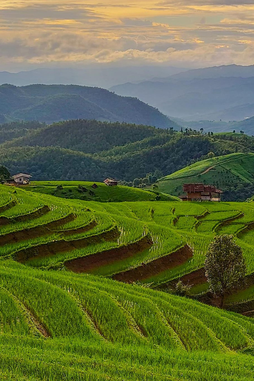 Chiang Mai: Pa Bong Piang Rice Terraces & Doi Inthanon - Pa Bong Piang Rice Terraces