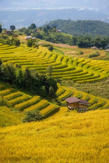 Chiang Mai: Pa Bong Piang Rice Terraces & Doi Inthanon - Doi Inthanon National Park