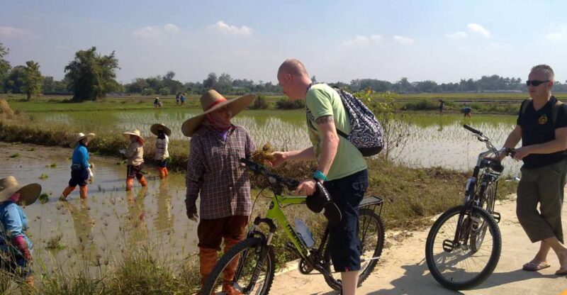 Chiang Mai Paradise Full Day Bicycle Tour - Key Points