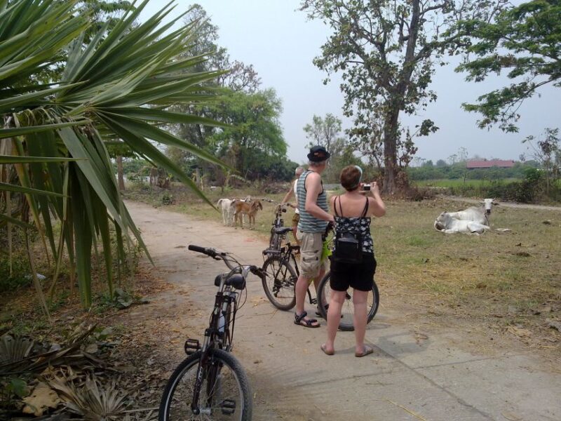 Chiang Mai Paradise Full Day Bicycle Tour - Itinerary Details