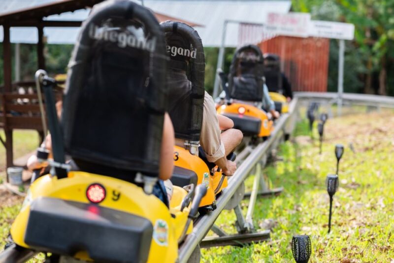 Chiang Mai: Pongyang Jungle Coaster and Zip Line Tour - Key Experience Highlights