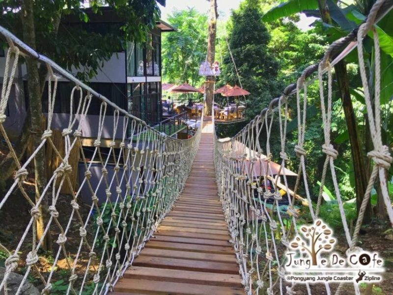 Chiang Mai: Pongyang Jungle Coaster and Zip Line Tour - Customer Feedback and Ratings