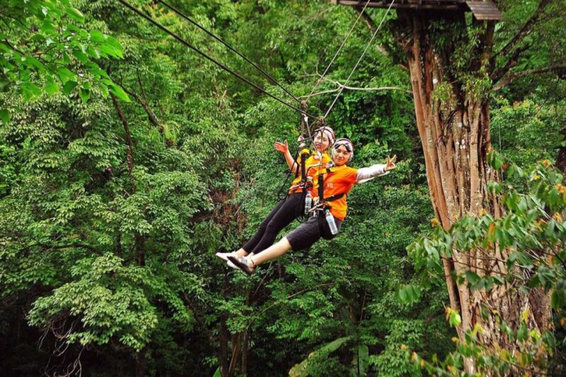 Chiang Mai: Pongyang Jungle Coaster & Zipline With Transfer - Customer Feedback