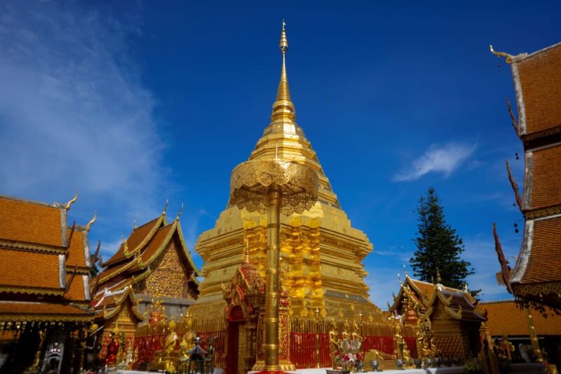 Chiang Mai: Private Doi Suthep-Chiang Mai City Temple Tour - Taking in Wat Umongs Serenity
