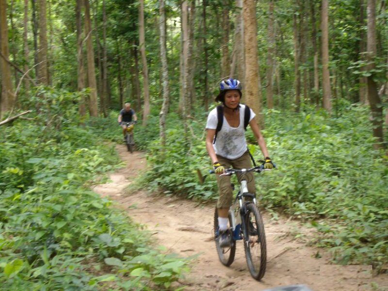 Chiang Mai: Rainforest Guided Mountain Biking Tour - Itinerary and Experience