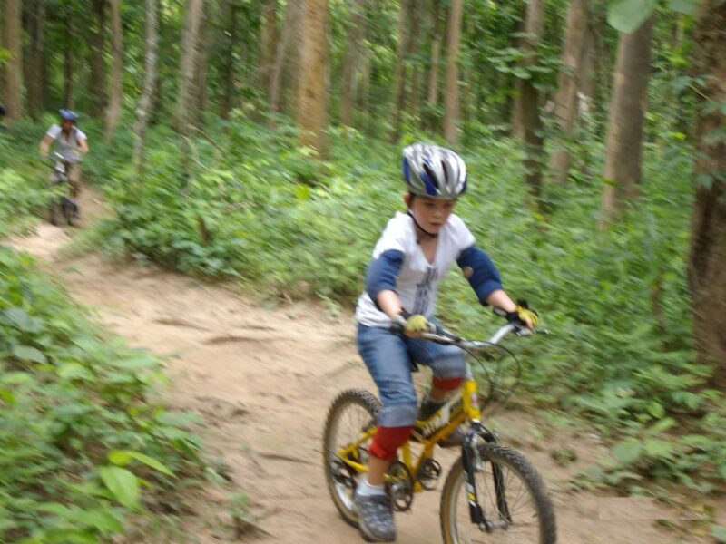 Chiang Mai: Rainforest Guided Mountain Biking Tour - Customer Feedback and Important Information
