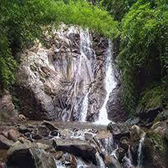Chiang Mai: Sensation 3DAYS 2nights, Explore in Tea Village - Key Points