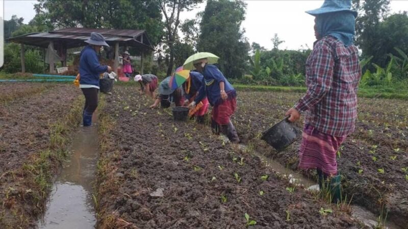 Chiang Mai : Sgaw Karen Hill Tribe Village Tour - Included in the Tour