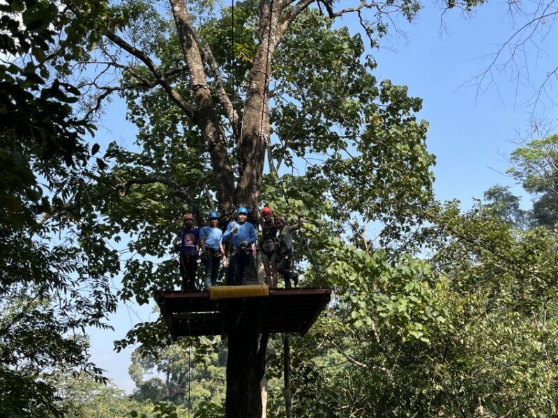 Chiang Mai: Sky Hawk Zip Lining With Transfer & Buffet Lunch - Park Features and Safety
