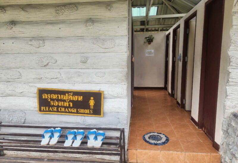 Chiang Mai: Sticky Waterfall, Bua Tong Cave Private Day Trip - Included Services and Additional Notes