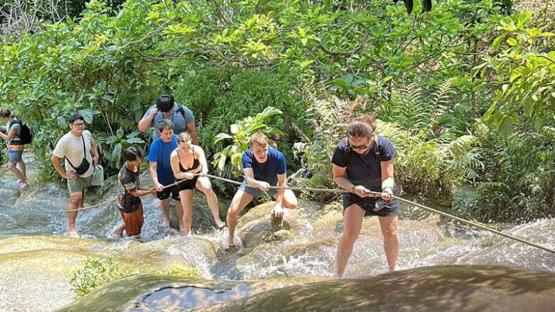 Chiang Mai : Sticky Waterfall (Half Day Tour) Hotel Transfer - Key Points