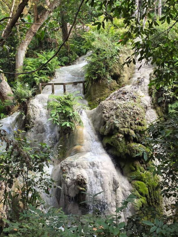 Chiang Mai : Sticky Waterfall (Half Day Tour) Hotel Transfer - Inclusions