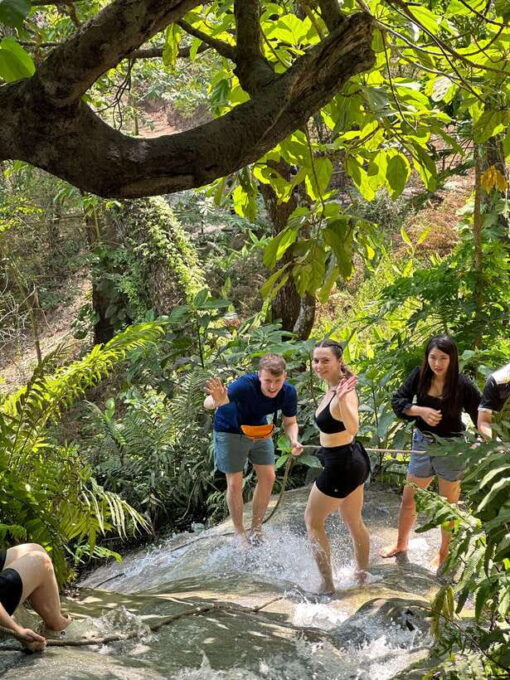 Chiang Mai : Sticky Waterfall (Half Day Tour) Hotel Transfer - Recommendations