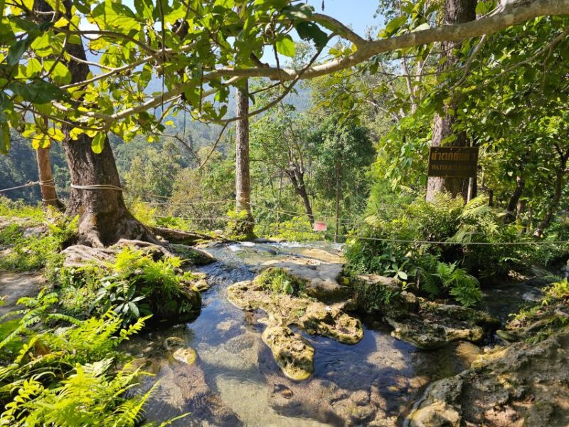 Chiang Mai: Sticky Waterfall Half-Day Tour & Hotel Transfers - Key Points
