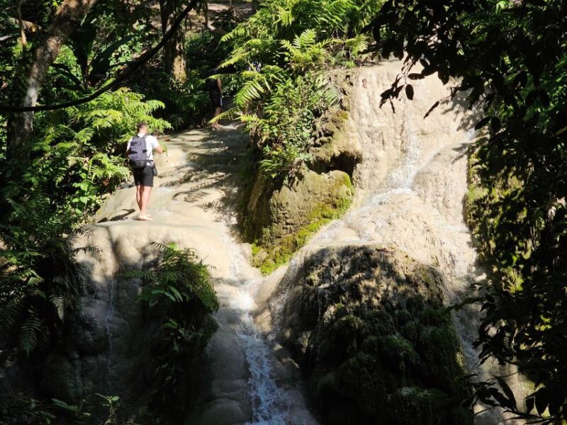 Chiang Mai: Sticky Waterfall Half-Day Tour & Hotel Transfers - Inclusions
