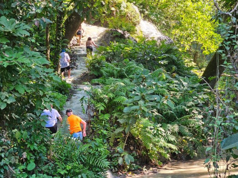 Chiang Mai: Sticky Waterfall Half-Day Tour & Hotel Transfers - What to Bring