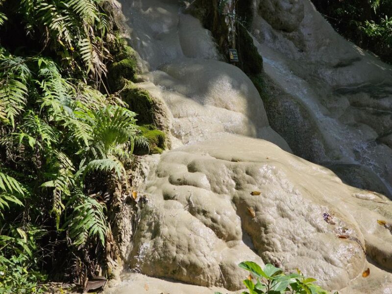 Chiang Mai: Sticky Waterfall Half-Day Tour & Hotel Transfers - Traveler Insights
