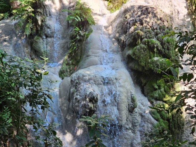 Chiang Mai: Sticky Waterfall Half-Day Tour & Hotel Transfers - Hotel Pickup and Transportation