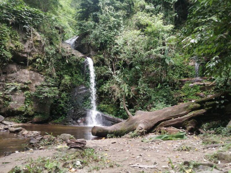 Chiang Mai: Suthep National Park Hiking & DH Mountain Biking - Participant Requirements