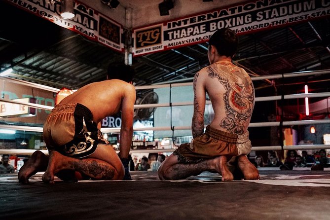 Chiang Mai Thapae Muay Thai Boxing Stadium Ticket - Guest Reviews
