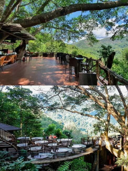 Chiang Mai: The Giant Café & Mae Kampong Village Day Trip - What real travelers say