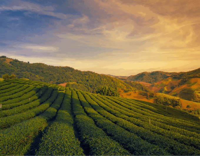 Chiang Mai to Chiang Rai: 2-Day Northern Highlands Journey - Important Considerations