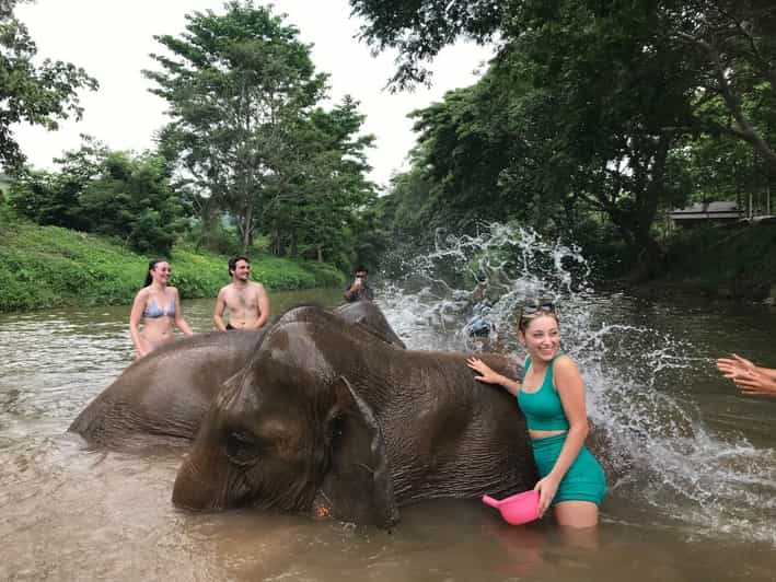 Chiang Mai: Top Rated Elephant Afternoon Tour (Starts 12PM) - Included in the Tour