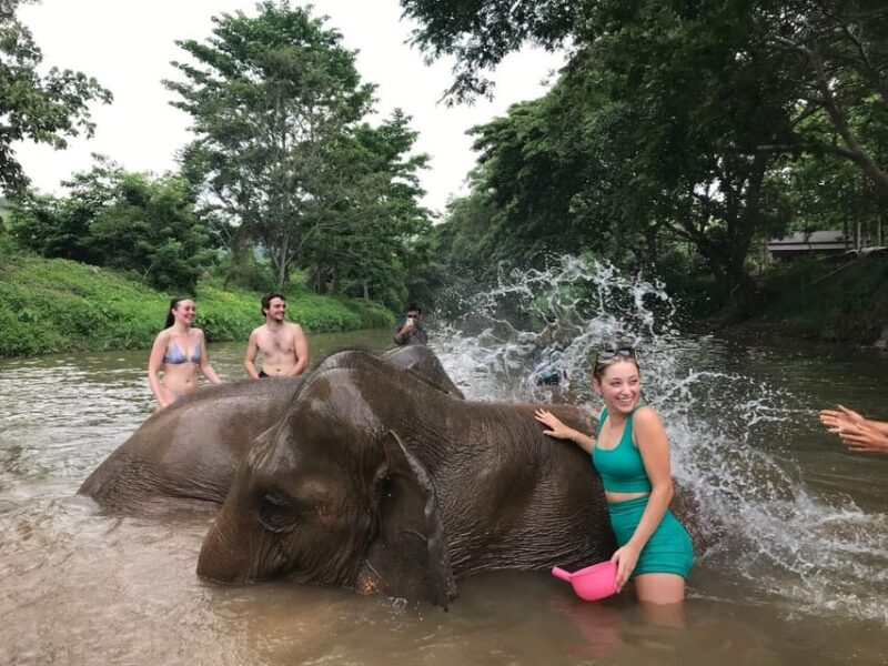 Chiang Mai: Top Rated Elephant Afternoon Tour (Starts 12PM) - Tour Experience