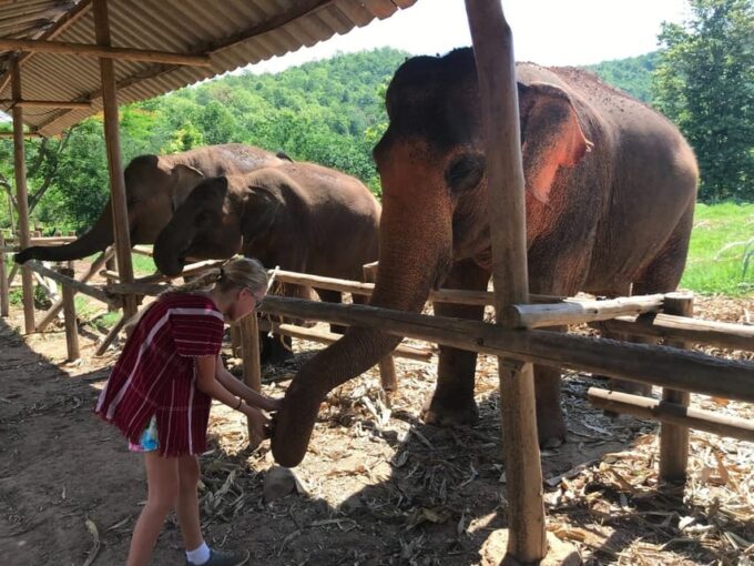 Chiang Mai: Top Rated Elephant Afternoon Tour (Starts 12PM) - Authenticity and Cultural Immersion