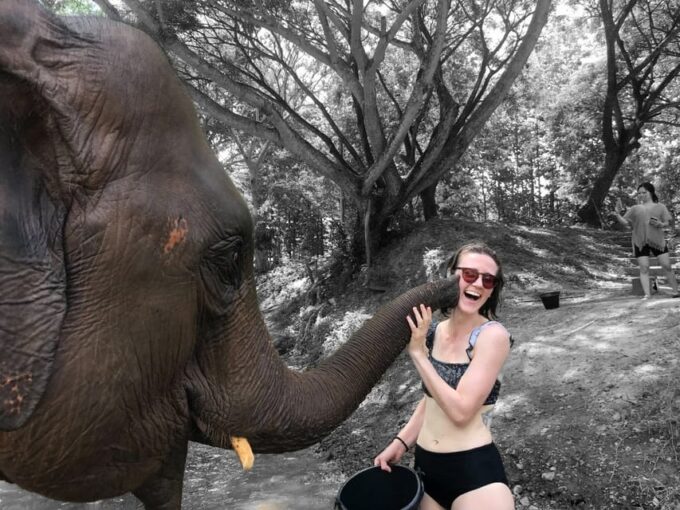 Chiang Mai: Top Rated Elephant Afternoon Tour (Starts 12PM) - Interaction and Bonding With Elephants